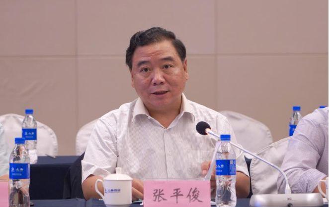 张平俊讲话经过认真研究讨论,专家组同意通过凤山水库工程初步设计