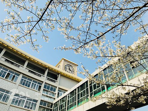 当中考遇上疫情杭州市源清中学给迷茫的初三生写了一封信