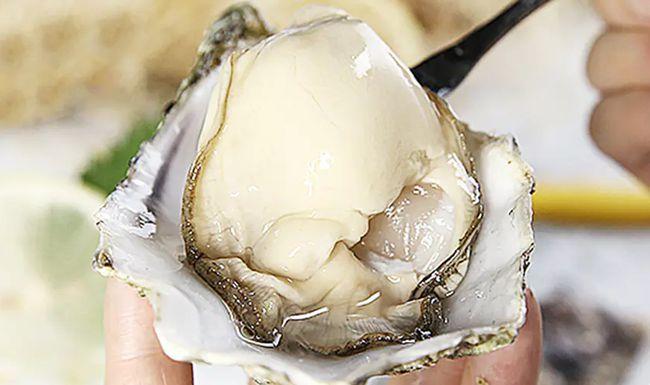 【都市购实惠】为什么海鲜市场上的生蚝价格差别如此之大?