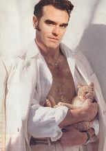 morrissey