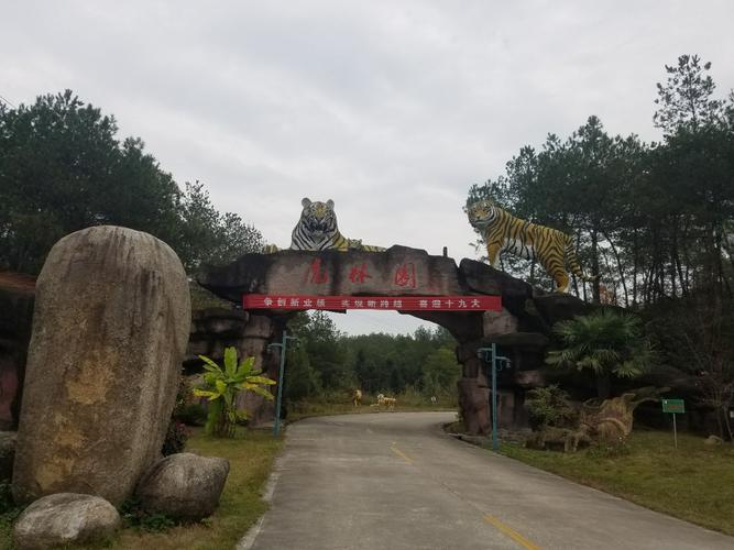 【携程攻略】黄山虎林园好玩吗,黄山虎林园景点怎么样