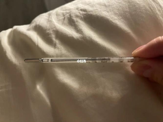 澳洲辉瑞疫苗第二针|我以为网上夸张了…_疫苗_澳洲_温度计_发烧_女排