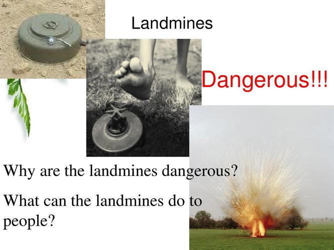 what can the landmines do to people?