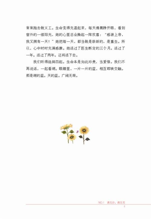 丁立梅作品:向着美好奔跑