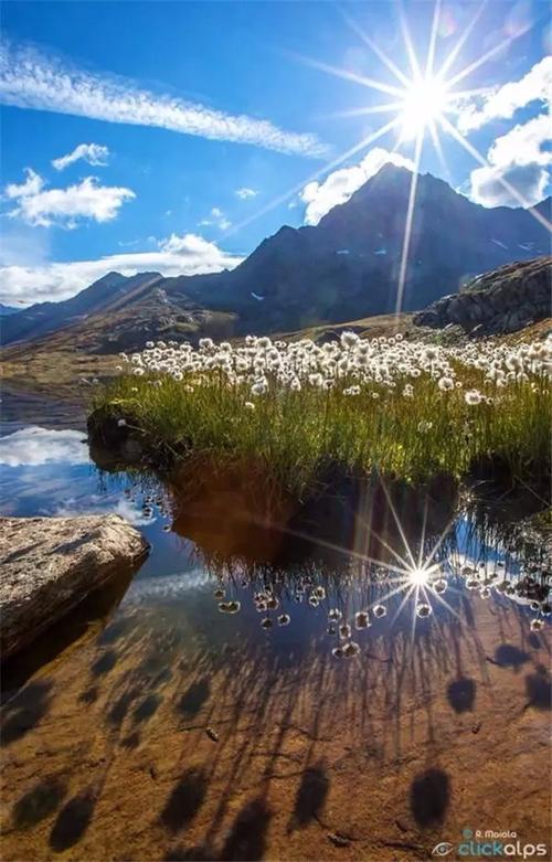 远处是风景,近处的才是人生