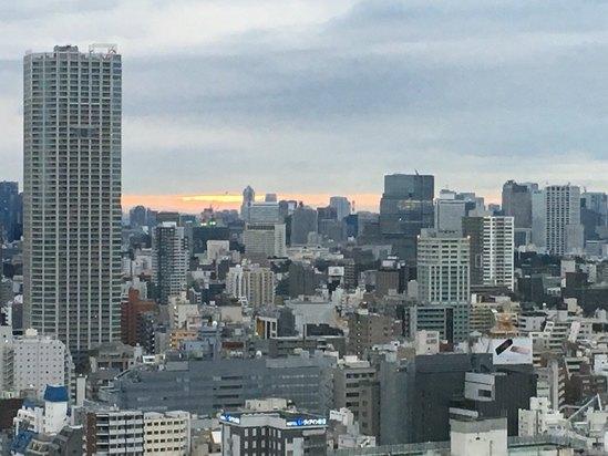 hotel gracery shinjuku tokyo (东京新宿格拉斯丽酒店)