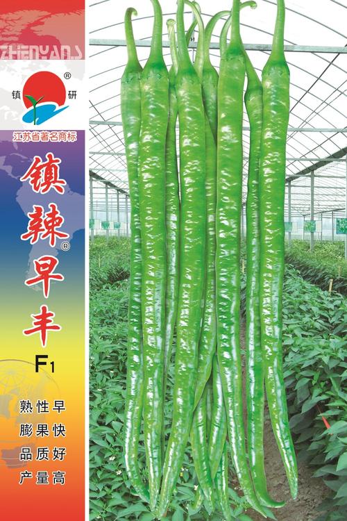 首页 产品展示 辣椒种子 线椒种子  上一张 下一张 产品介绍