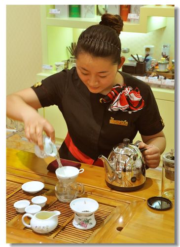 茶道----美女调茶师