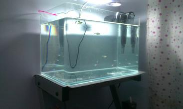 鱼缸过滤器怎么安装