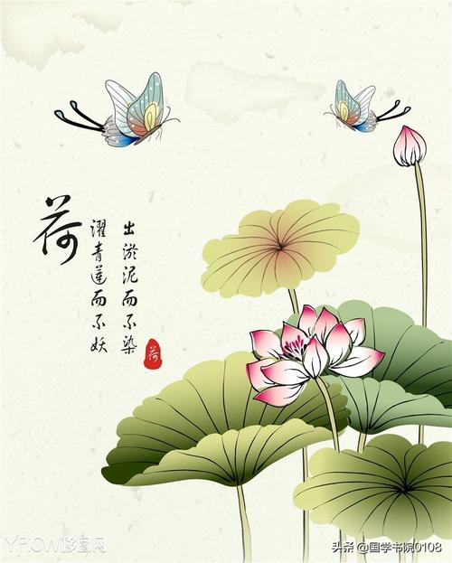 关于荷花的诗句都有哪些赞美荷花的所有诗句赏析