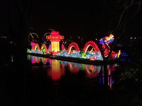 五光十色赏花灯