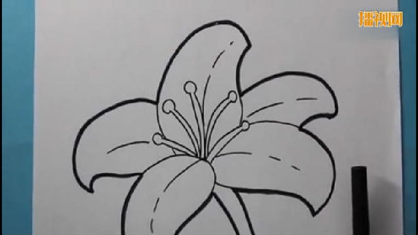 母亲节绘画大全,百合花简单画法