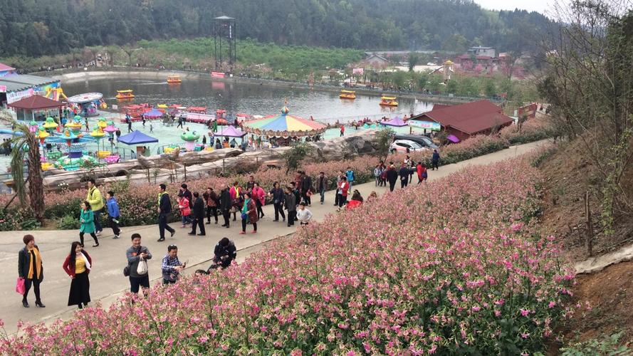 绵阳盛世樱花悠乐谷