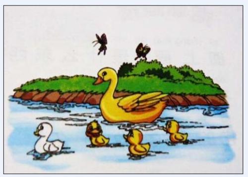 两个人游泳看图写话