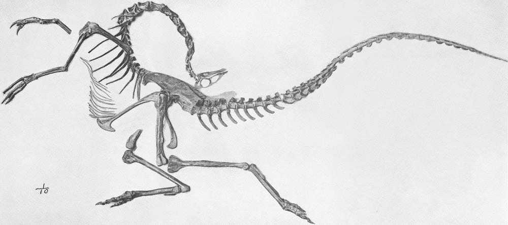 二月二龙抬头恐龙也抬头