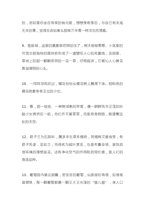 作文素材积累:描写植物的好词好句好段及范文