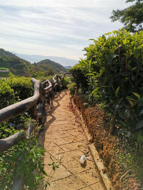 游览被誉为"大自然的天然氧吧"丰顺大宝山.2020.6.21