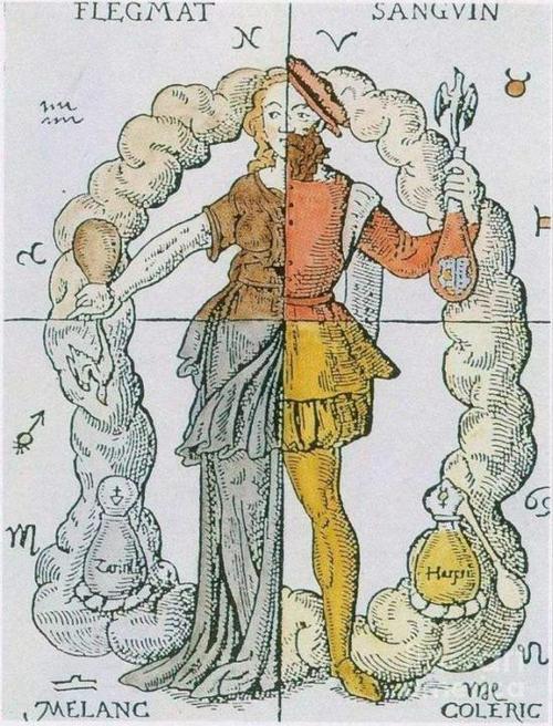 "本草灵素犹有传",西方医学早期发展与古希腊哲学的联系