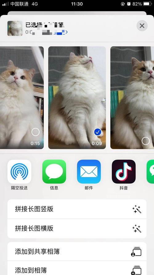 【讨论】拍猫片—苹果的快捷指令拼接长图真是太可了!