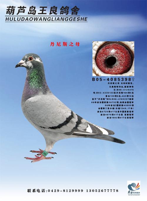 丹尼斯之母