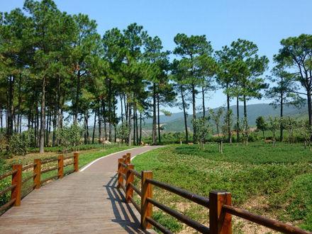 龙池山森林公园(图片来源于网络)