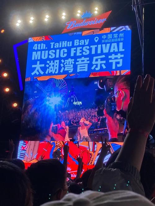 常州太湖湾音乐节|个人感受_音乐节_太湖_高抬腿_生日