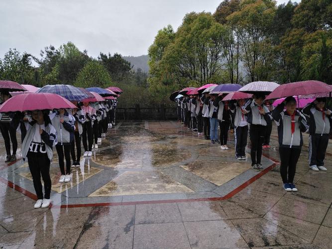 陶山镇荆谷学校"清明节祭扫桐溪烈士墓"活动