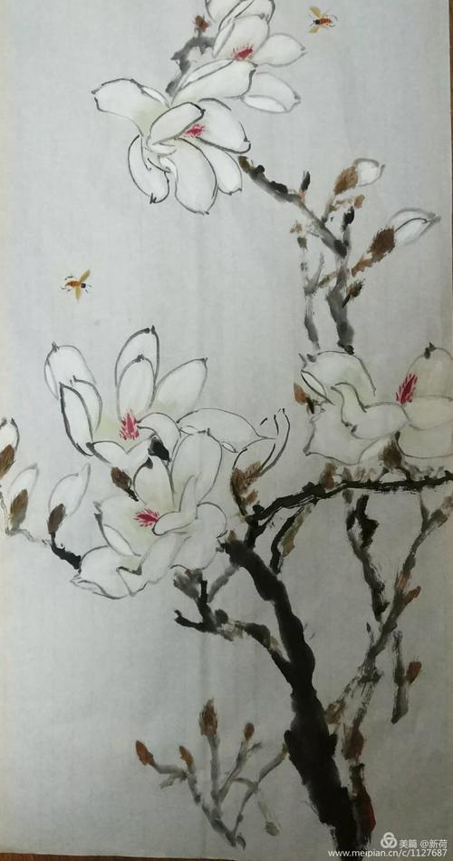 3月29日修老师教授没骨玉兰花画法
