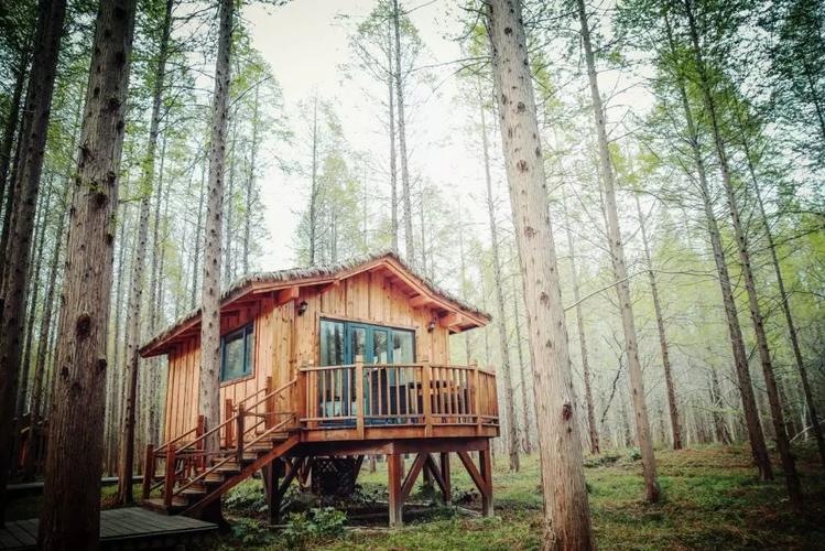 (盐城黄海森林公园小木屋)