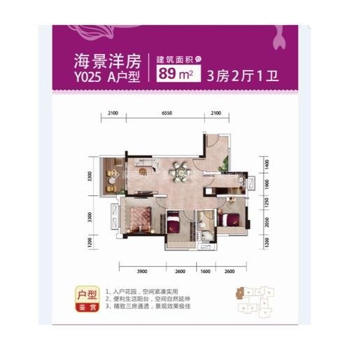 碧桂园金沙滩_海景洋房a户型