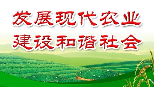 加快构建农村现代经营服务新体系全面推进供销合作社改革发展的意见
