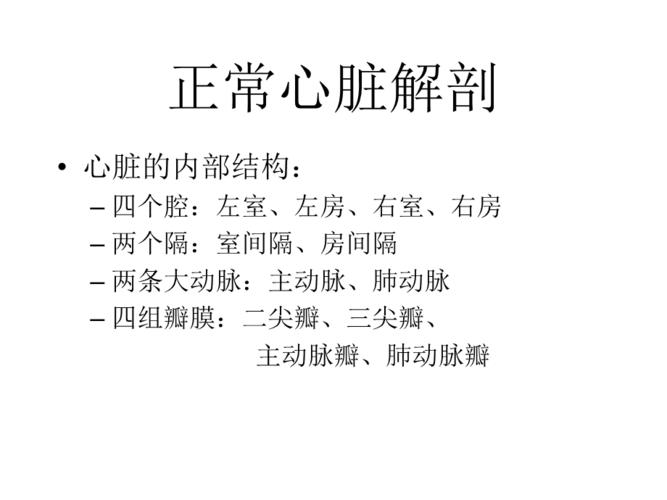 心脏超声的正常值ppt课件