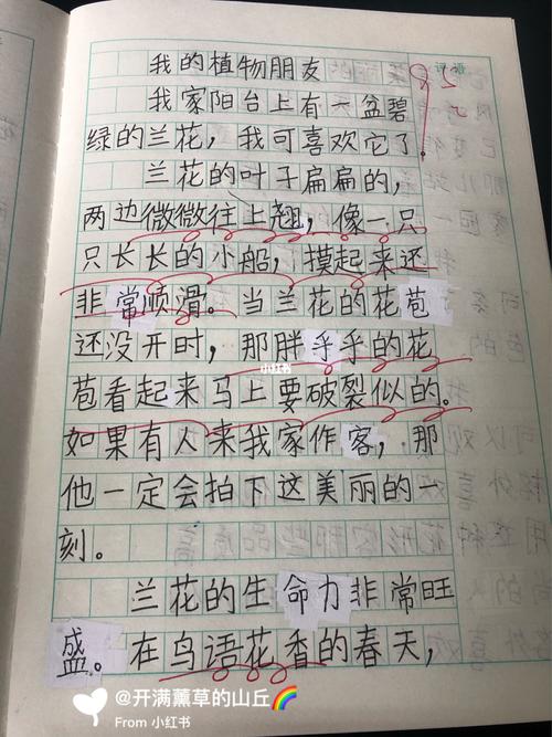 三年级下语文第一单元作文《我的植物朋友》_作文_语文_教育_小学教育