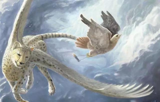 驾驭飞豹,驰骋天下!