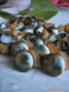 北海花甲螺大量加工批发,欢迎选购!