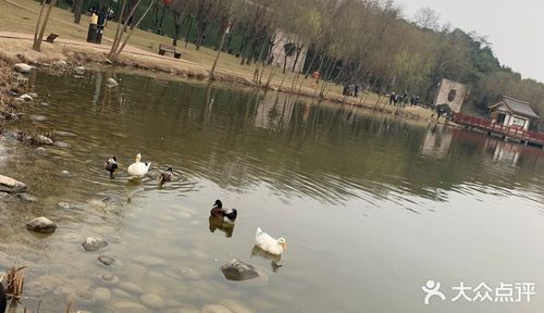 出来溜达的人还不少呢,里面还比较大