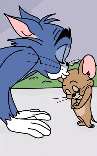 猫和老鼠系列壁纸!