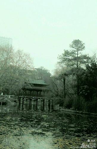 鹤冲天·梅雨霁 宋·周邦彦 梅雨霁,暑风和,高柳乱蝉多.