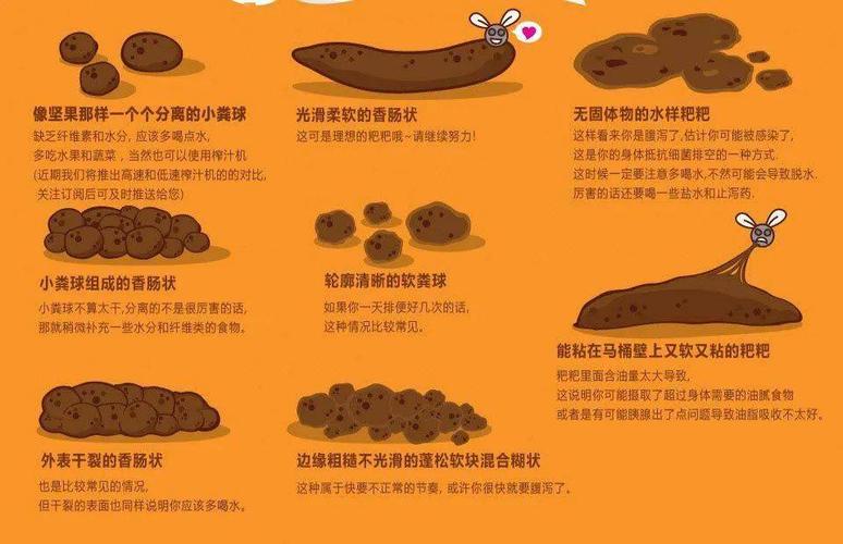 常可见大便不成型,溏稀,次数较多但仍有大便不尽感,冲洗时大便黏滞