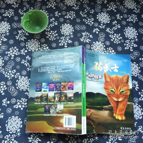 猫武士外传之1火星的探索