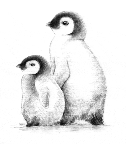 看我3分钟教你画出来_素描