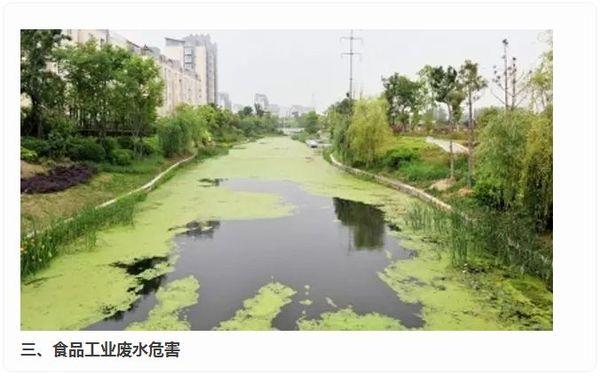 【水污染】工业废水的危害
