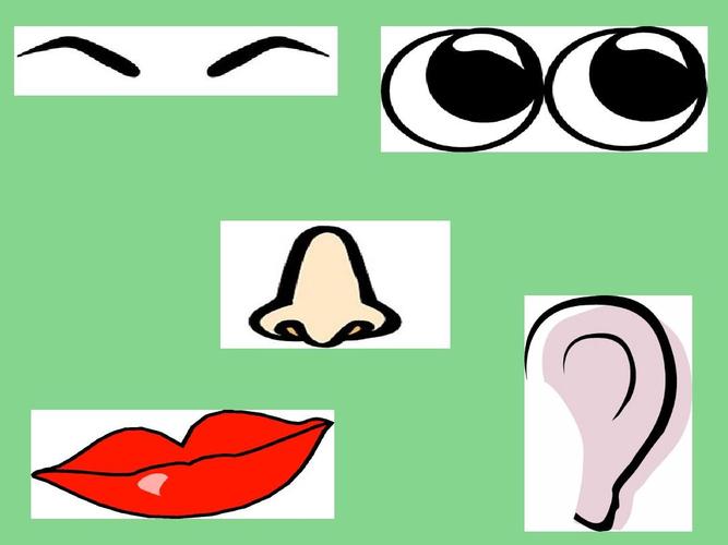 我的五官朋友ppt