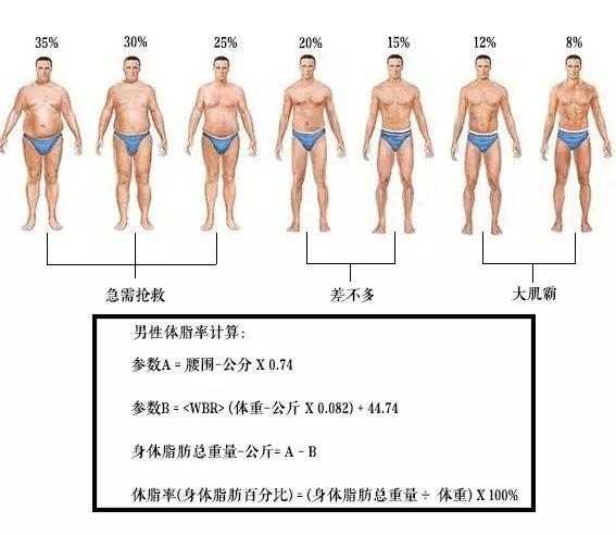脑袋跟身体比例越大,整体身材看起来就会越好.