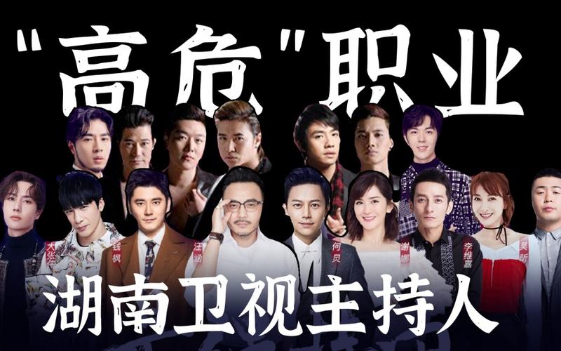 高危职业湖南卫视主持人