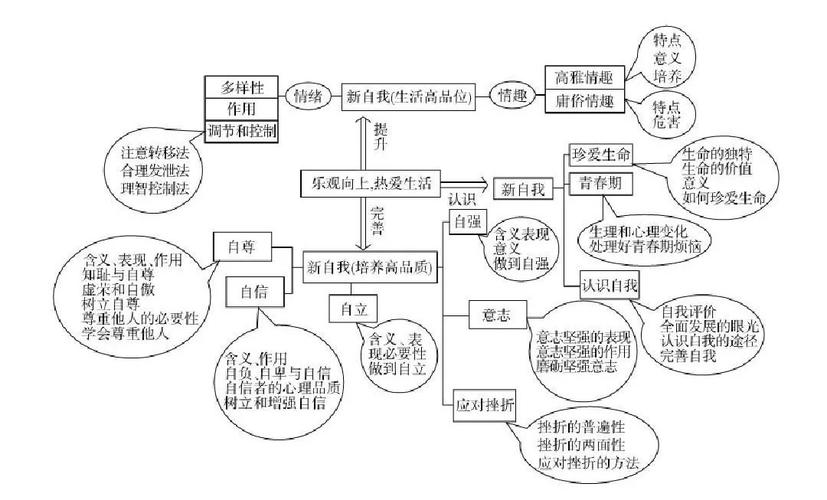 知识导图系列 | 初中政治知识大汇总,帮你理清所有知识点!