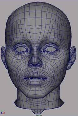 maya脸部布线建模