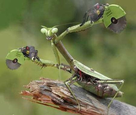 02-08 16:40  2015-02-08 16:50  最佳答案 模拟螳螂砍树机器人(p的)