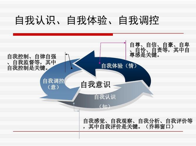 3.莫闲青少年的自我意识与"自我"教育ppt