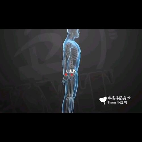 马伽术之人体痛点_格斗_运动健身_运动_运动其他